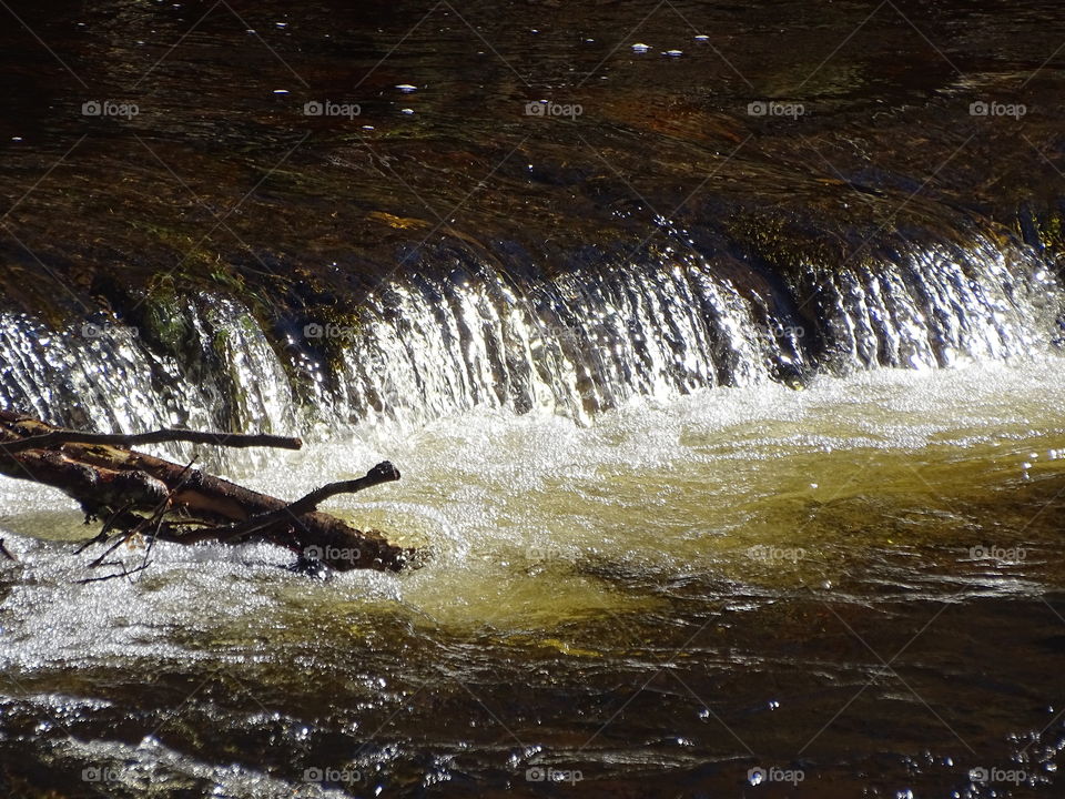 Kurpark in Bad Wildbad