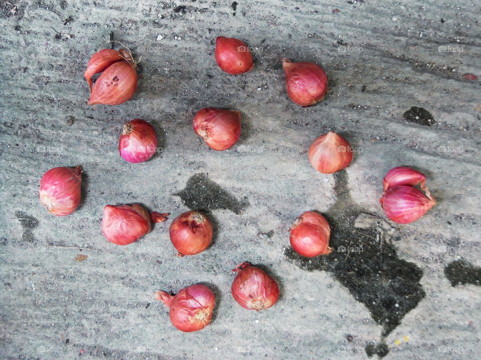 Raw shallots after harvest in bird angle view