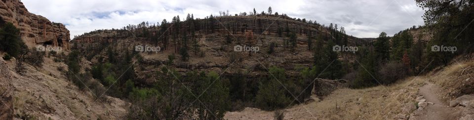 Area near the Gila Cliff Dwellings in New Mexico.