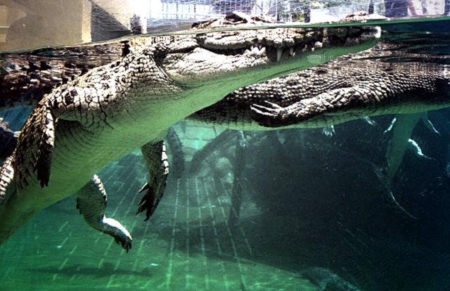 Water, Travel, Outdoors, No Person, Nature