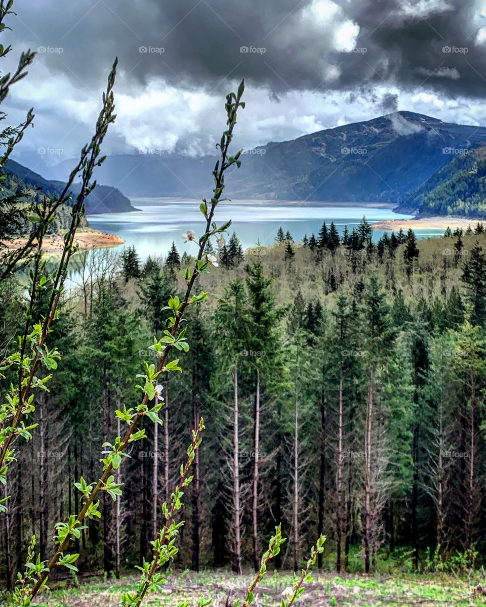 Beauty is everywhere 