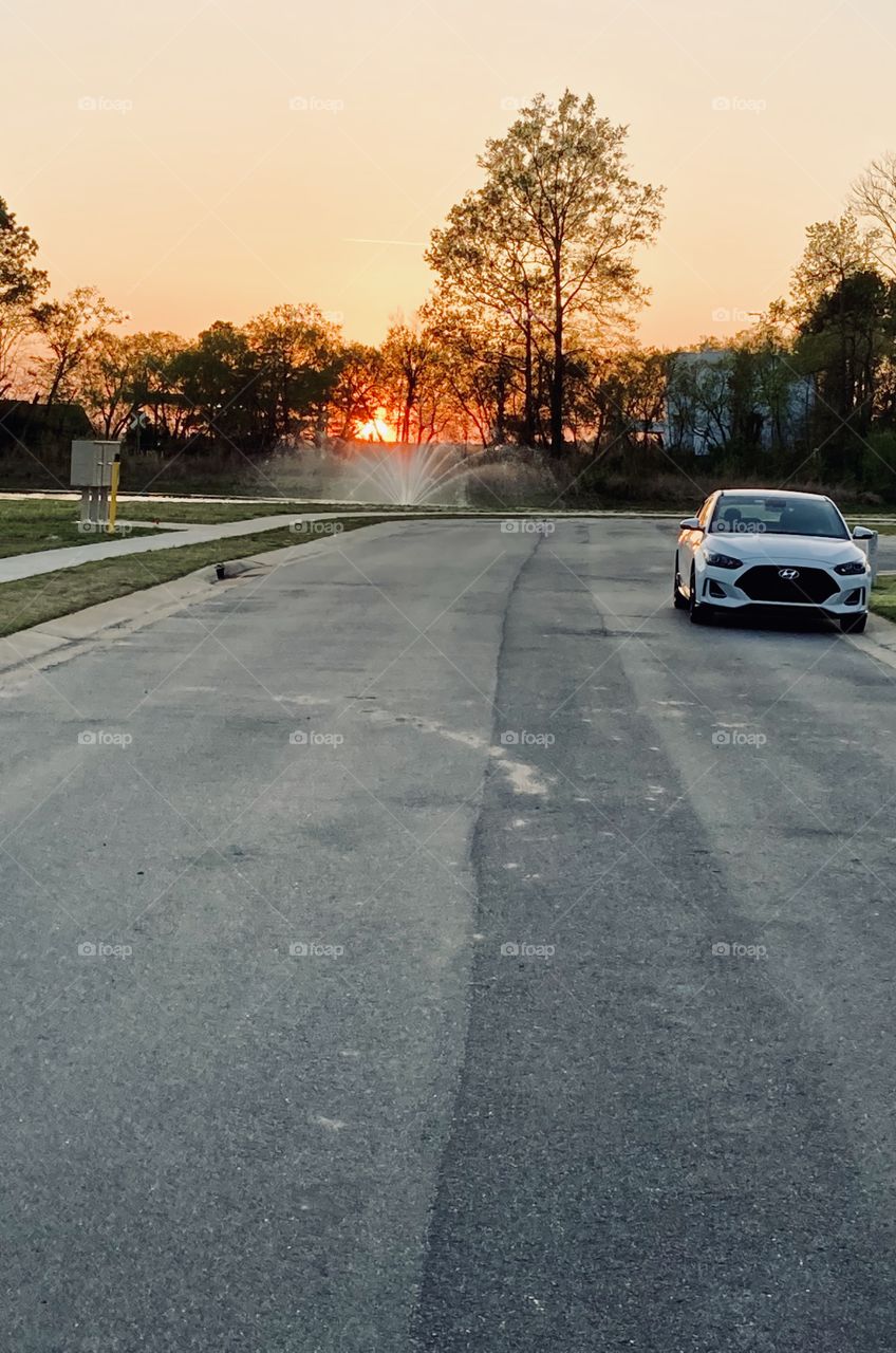 Sunset near pond and trees