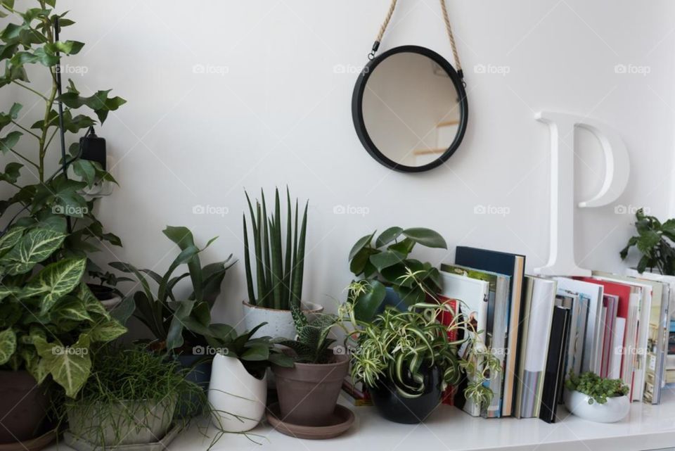 Plant pots mirror and stack of books in living room at home