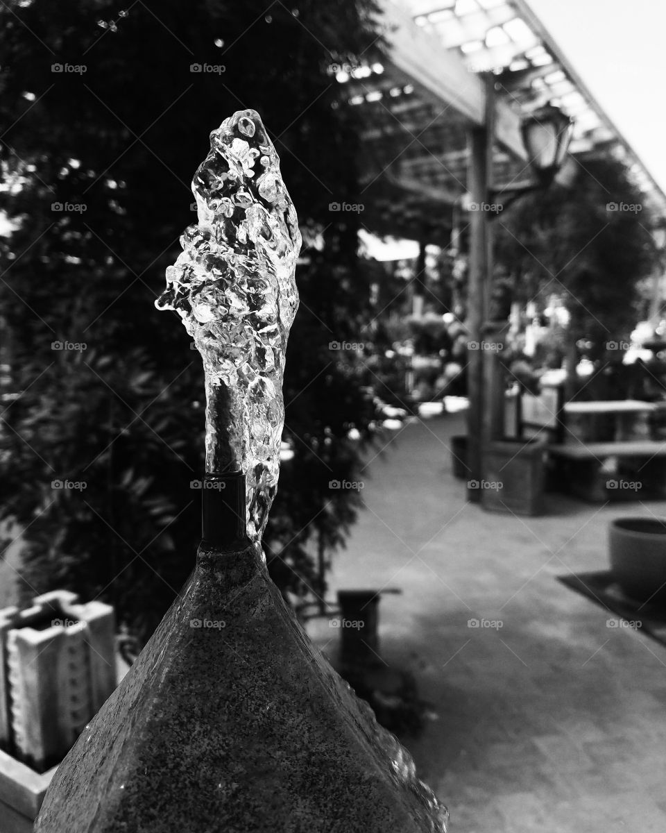 Water Fountain at Hicks Nurseries on Long Island, NY: September 2017, Black and White Photography.