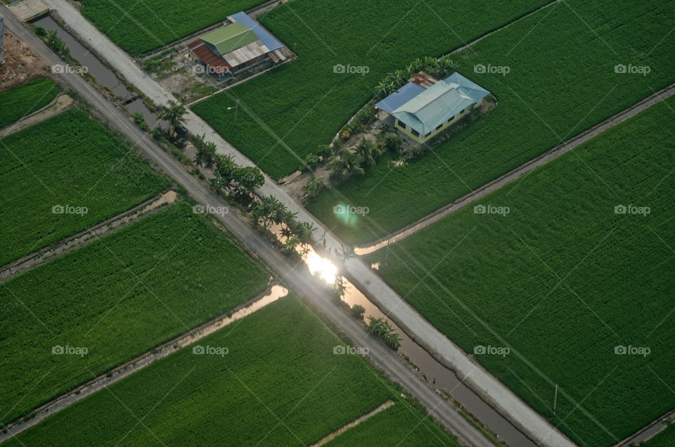Reflection of the sun glinting in the waters of an irrigation canal for rice paddies