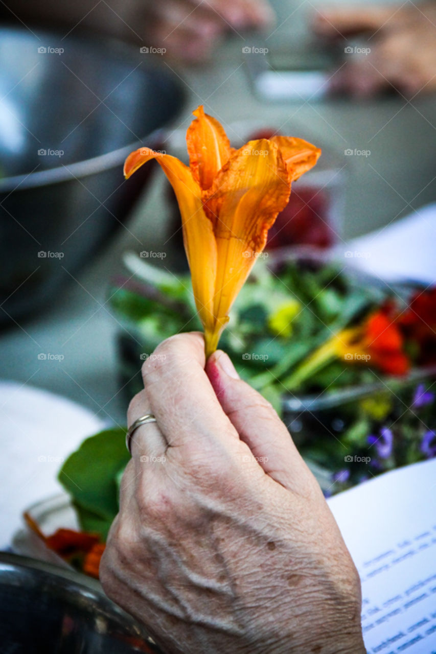 Person hand holding flower