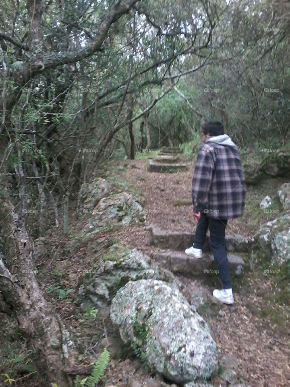 Discovering our ancient conection, green paths in Urui