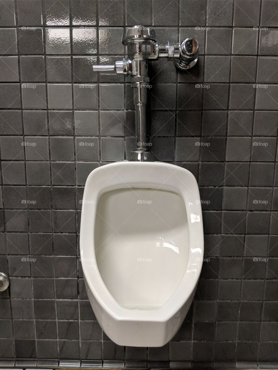 Urinal, toilet