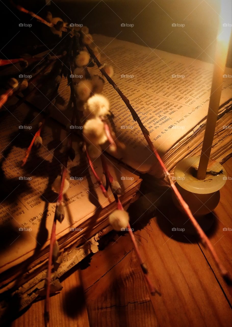 Palm Sunday.  Pussy-willow branches on an old bible by the light of a burning church candle