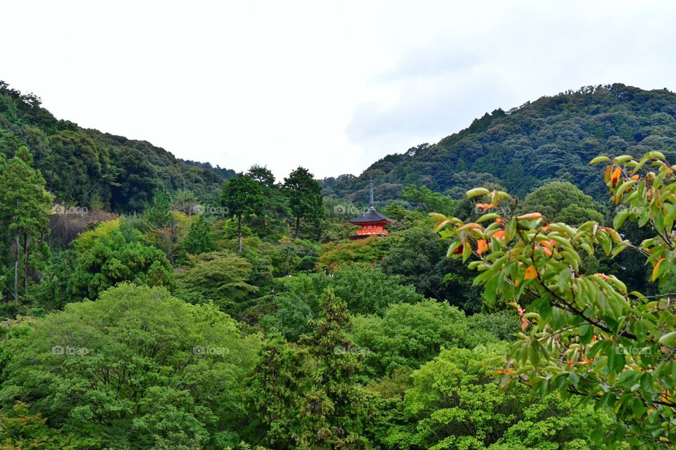 Japan's landscapes