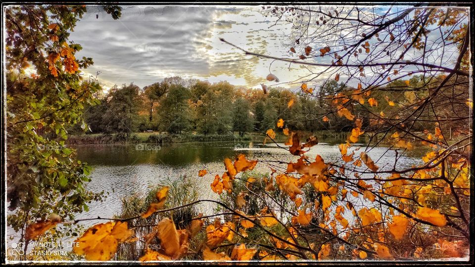 Polish golden autumn