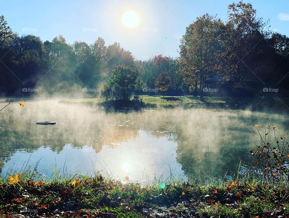 The mist rising from the pond at a local park. Lots of light, some shadows, a touch of green, and the pond looks like it’s on fire.
