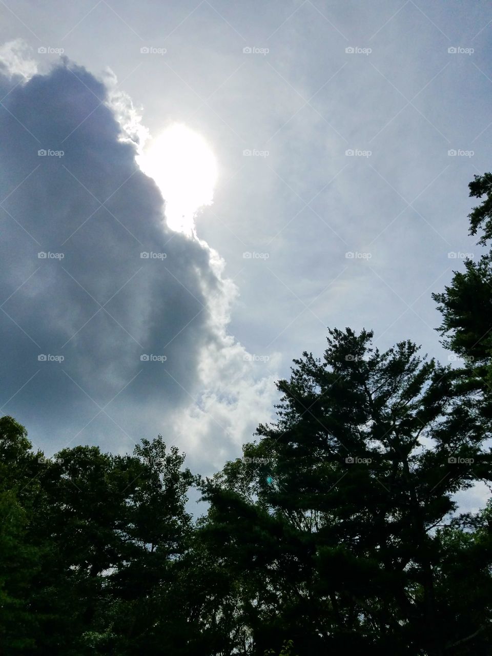 Storm clouds over treetops, sun shining out.