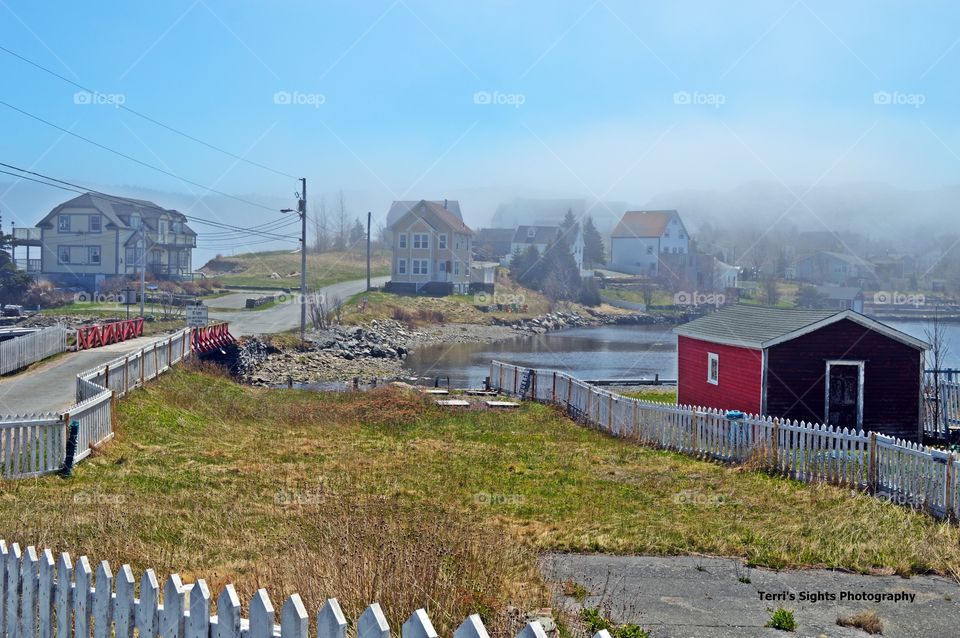 Foggy Morning in Brigus, Newfoundland