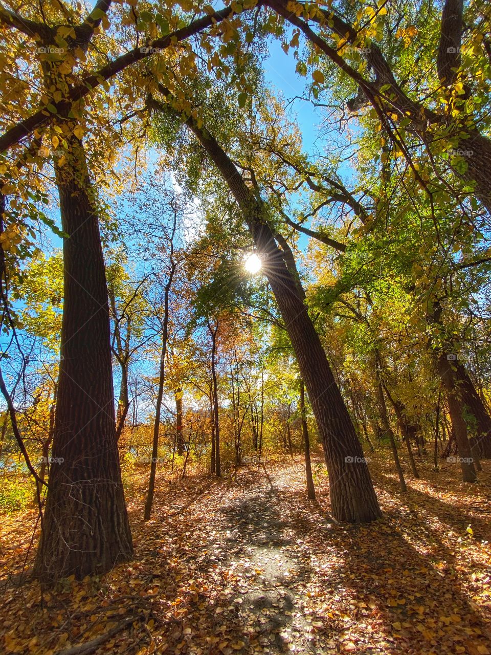 Nature trail 