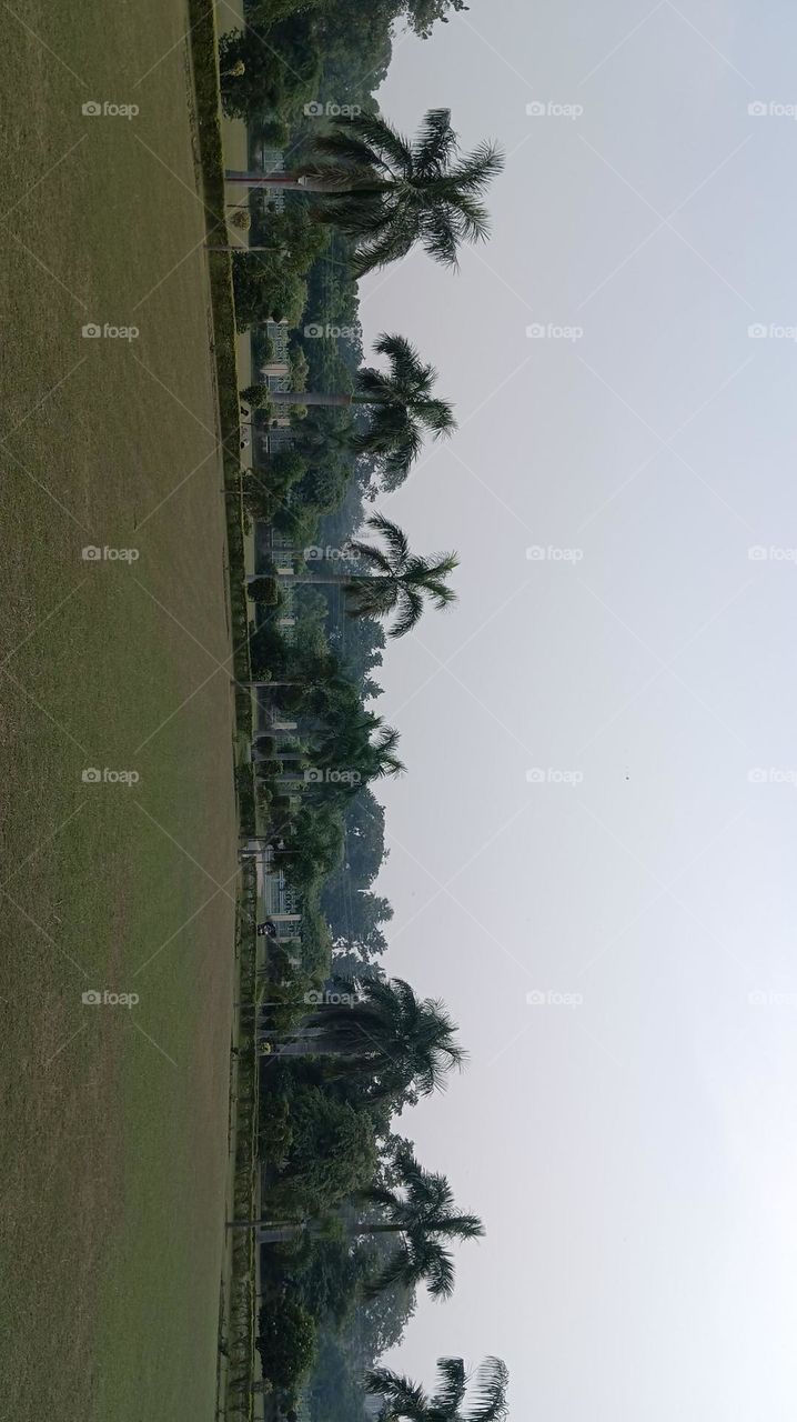 It's like nature's own spotlight show 🌞🌸.