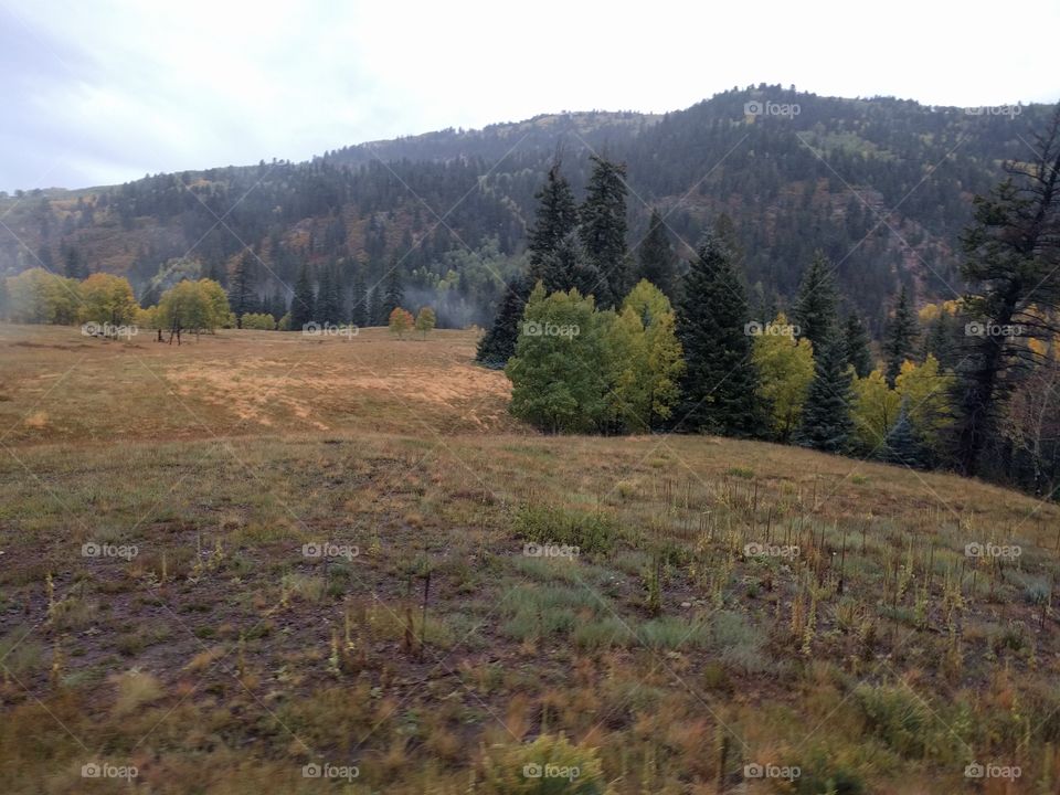 Steam train ride, CO