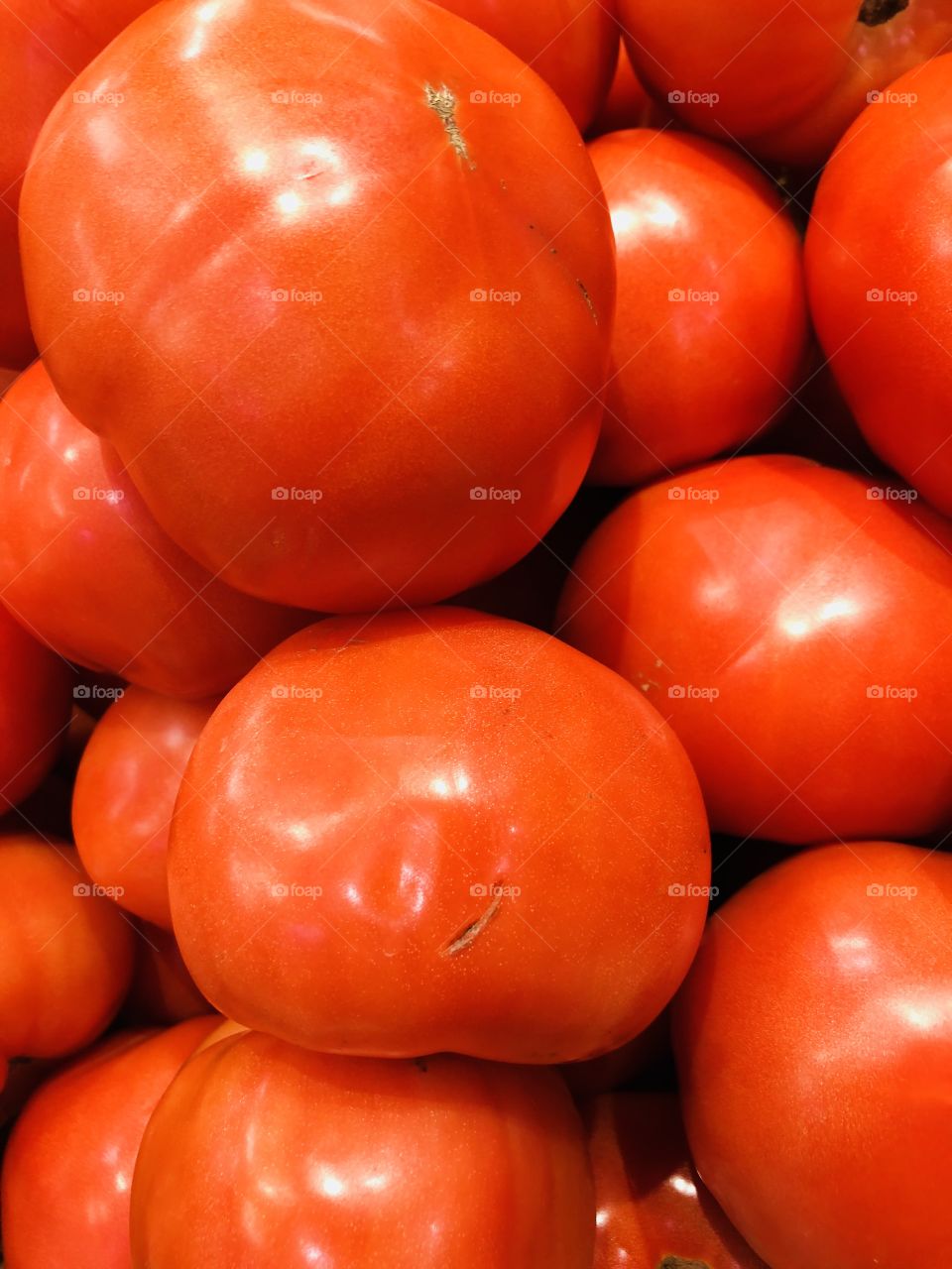 Fresh tomatoes 