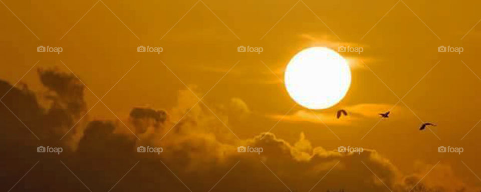 Sun, Sky, Sunset, Dawn, Cloud