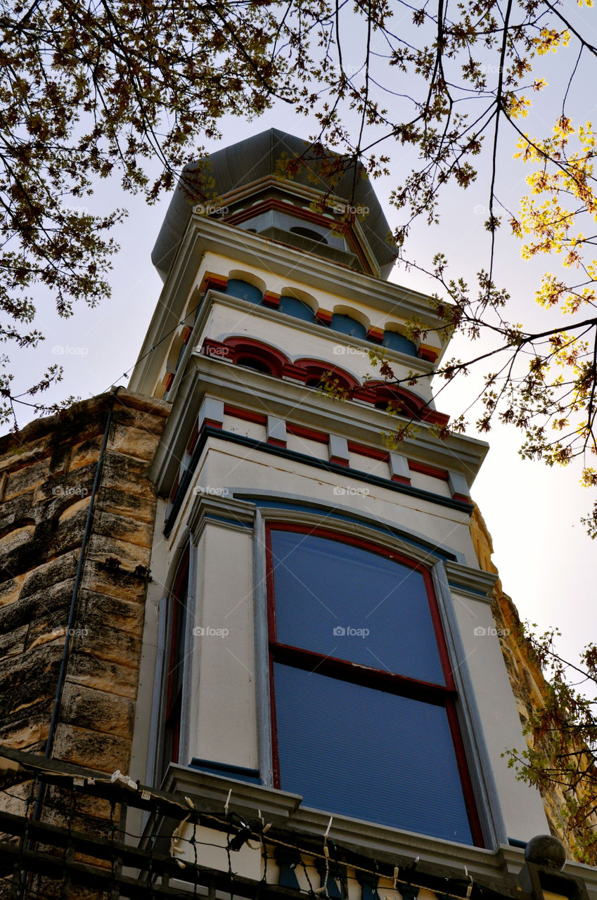 georgetown texas trees leaves leaf by refocusphoto