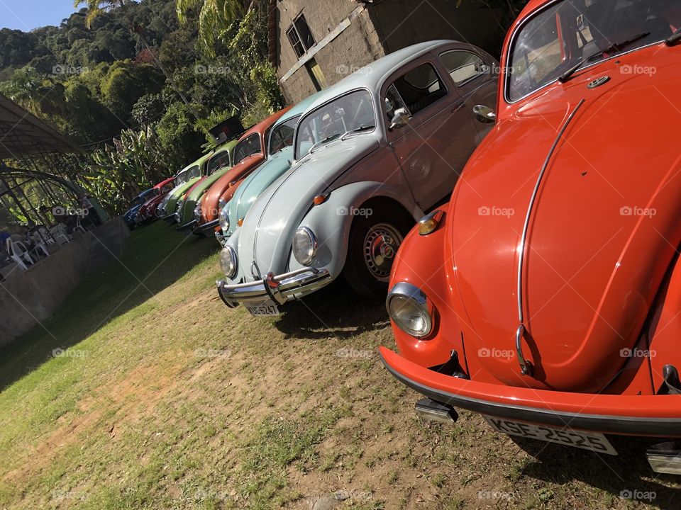 Fusca