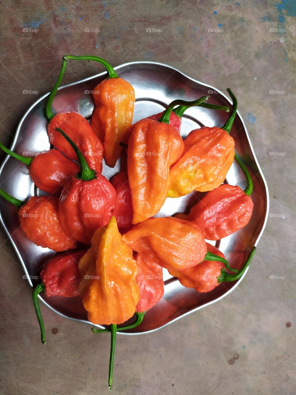 In 2007, Guinness World Records certified that the ghost pepper was the world's hottest chili pepper, 170 times hotter than Tabasco Sauce. The ghost pepper also known as bhut jolokia in Assamese. It is found in Assam and North East India.