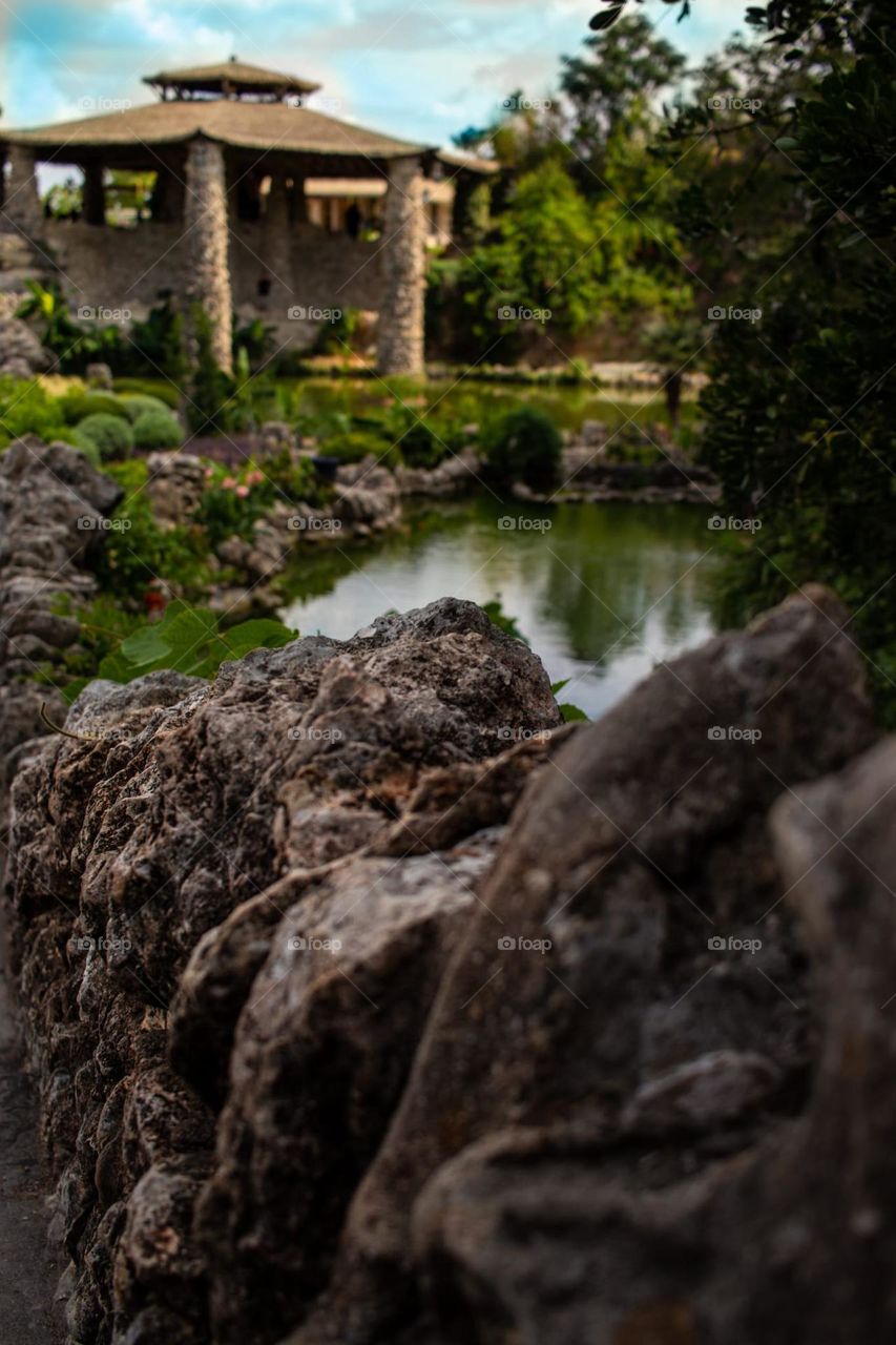 Pond in hiding