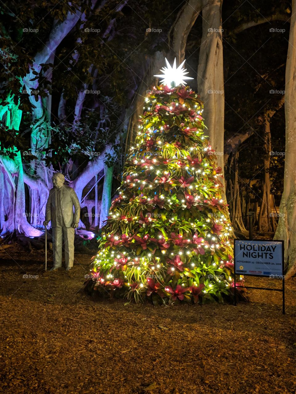 Night of Lights Christmas tree near a statue of Edison, taken 12/10/2018 at Edison's Winter Estate in Fort Meyers, FL