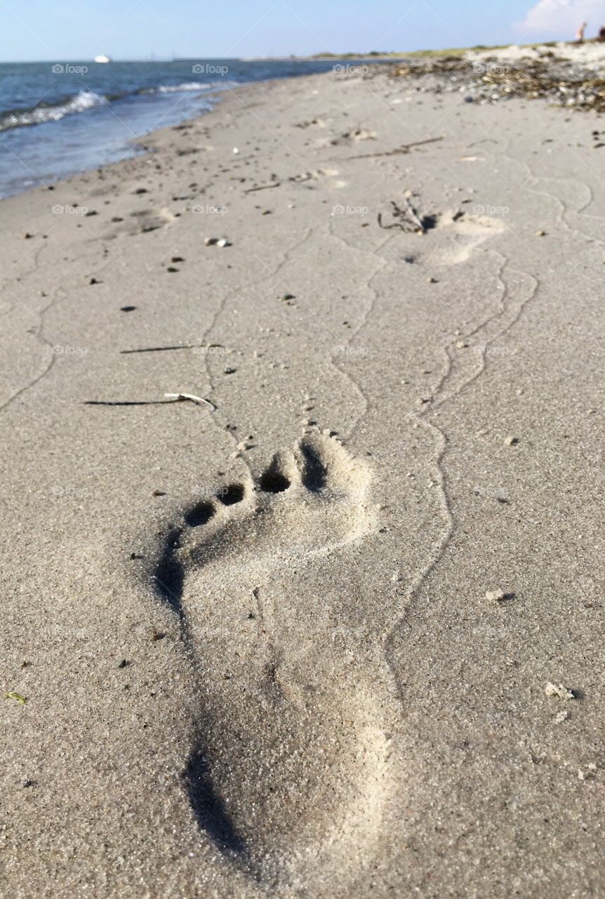 A walk on the beach, Skanör in Skåne Sweden.