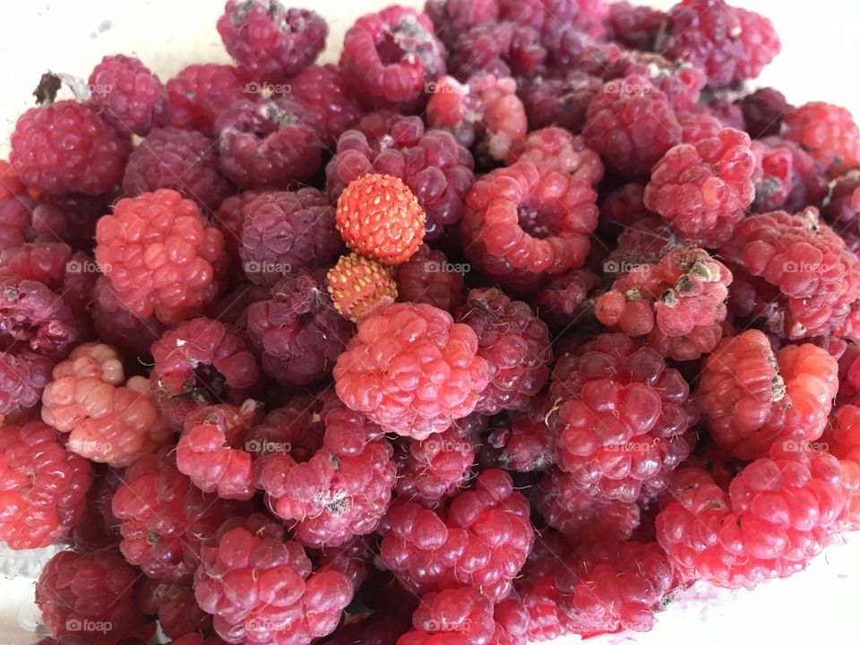 Raspberries 