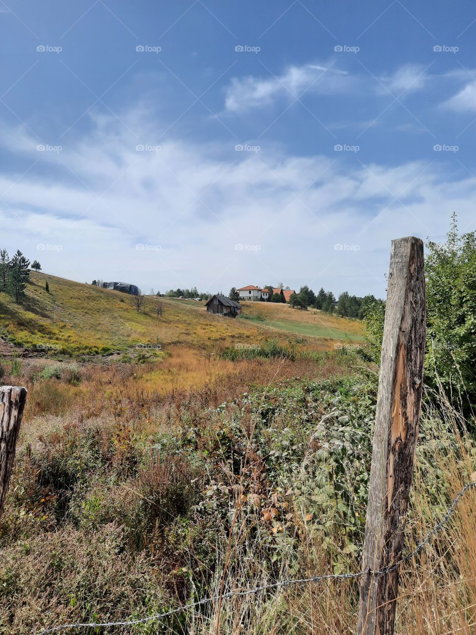 The colours of autumn 🍁🍂