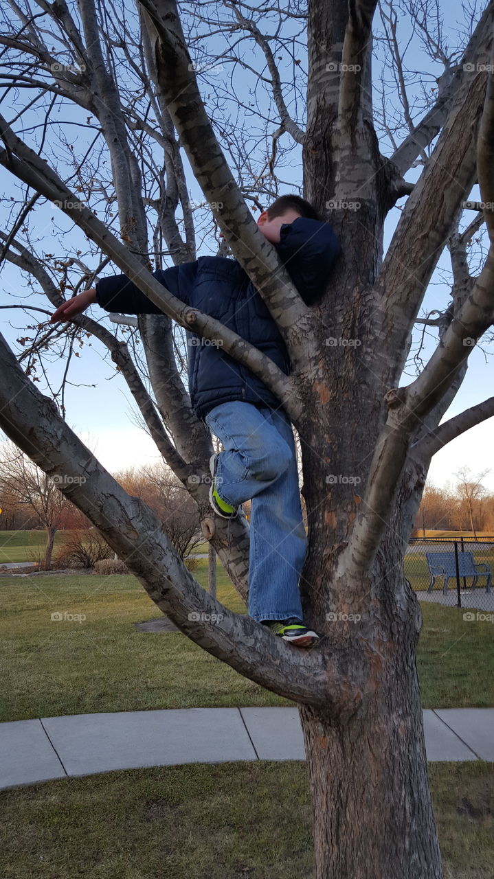 Boy in tree dabbing