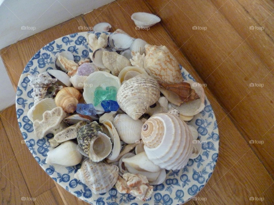 Seashells