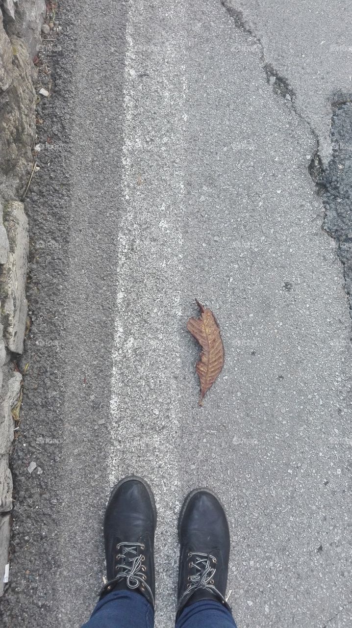 shoes, street and a leaf