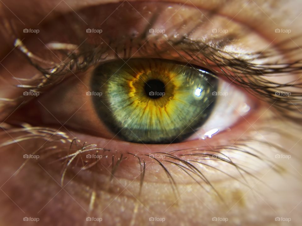 Close-up of green eye