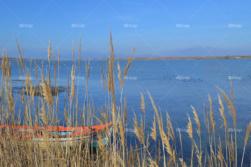 Greece, Beautiful Summer Landscape