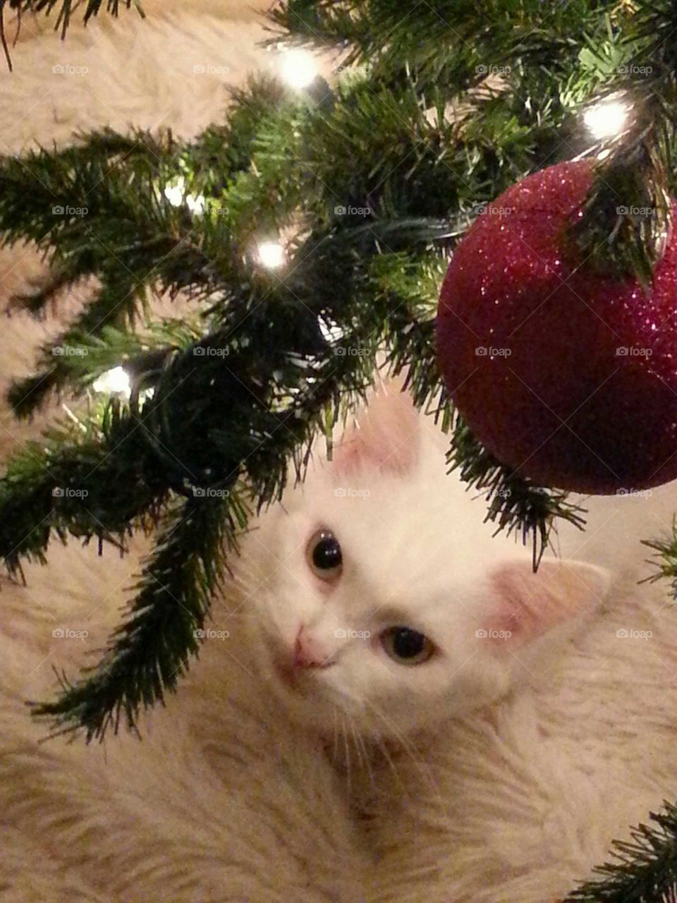 Ornament Killer