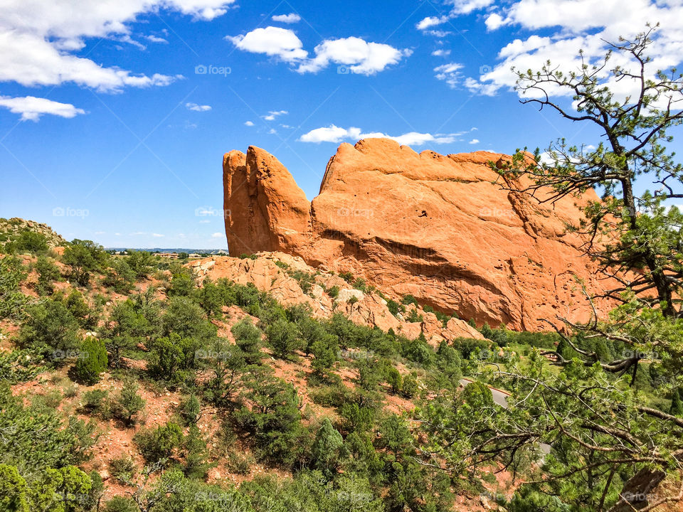 Garden of the Gods 