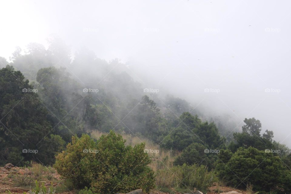 The city of fog, Abha, Saudi Arabia in the summer