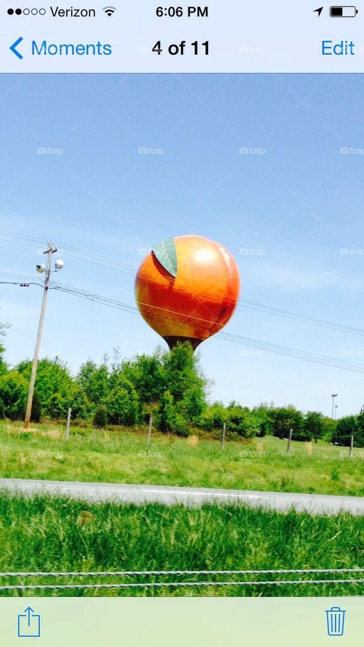 Giant peach