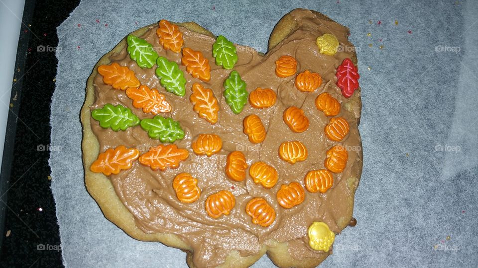 Turkey cookie