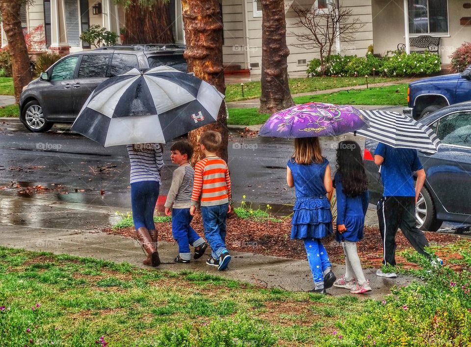 Boys And Girls Walking Under Umbrellas In The Rain. Children Walking Under Umbrellas
