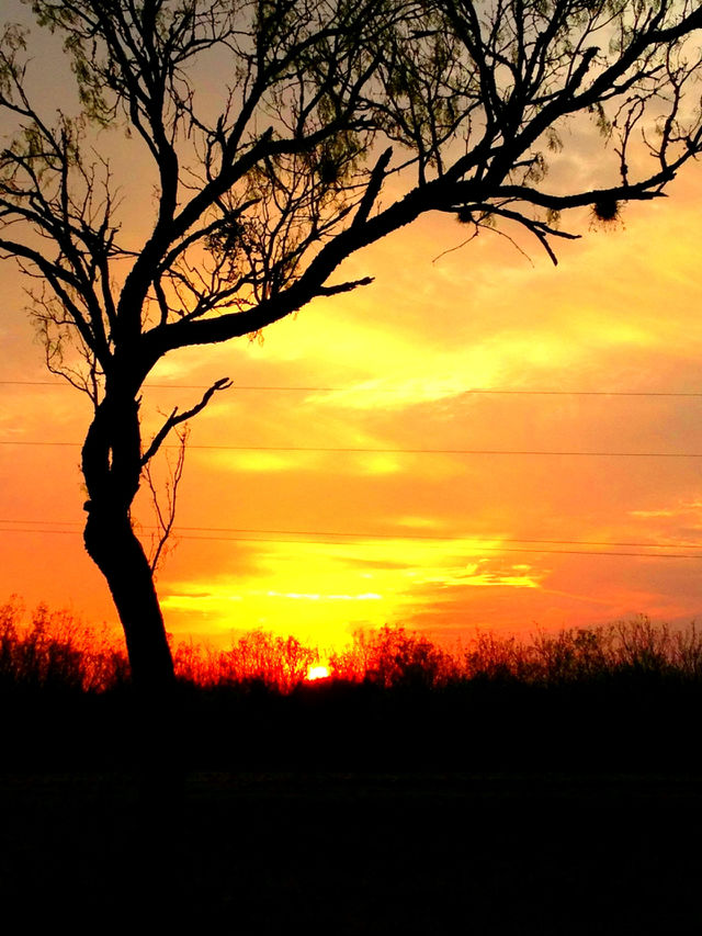 Beautiful sunset