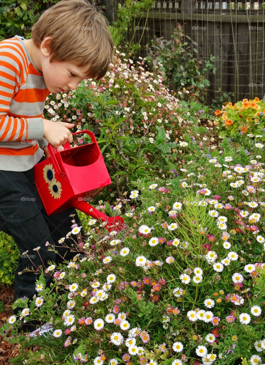 Young Boy Helping In The Garden