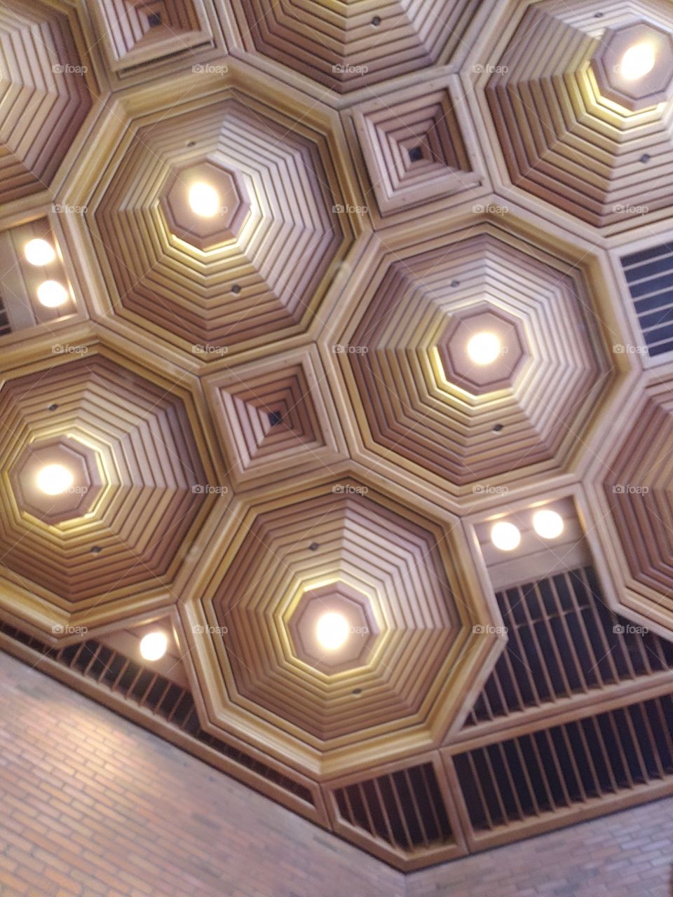 ceiling in veterans affairs building in Seattle WA. Grand enterance