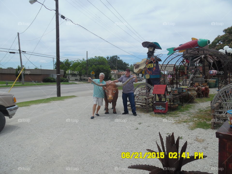slap the bull. This is a picture of my parents holding on to the horns of this bull
