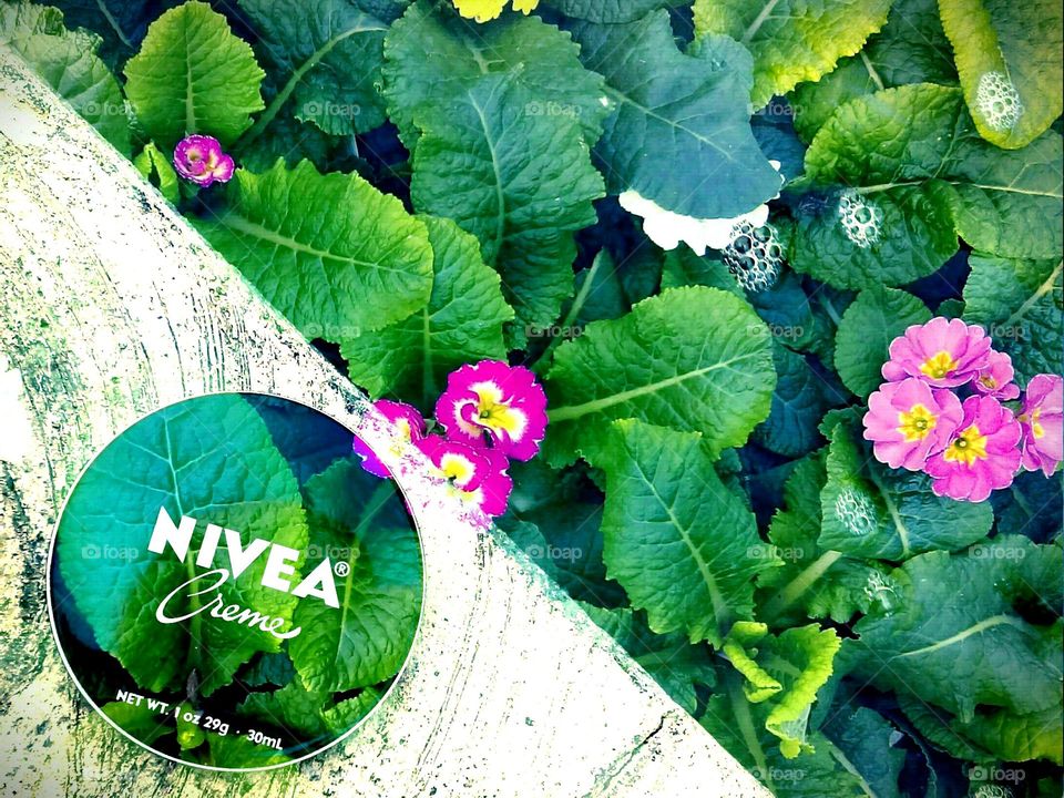 NIVEA green!