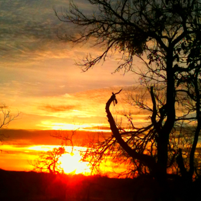 sunset