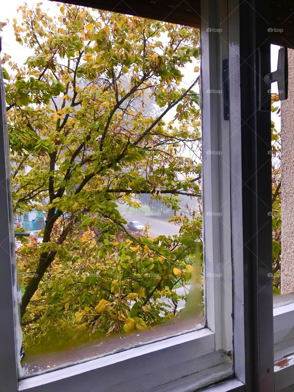 Fall is here with its beautiful colors