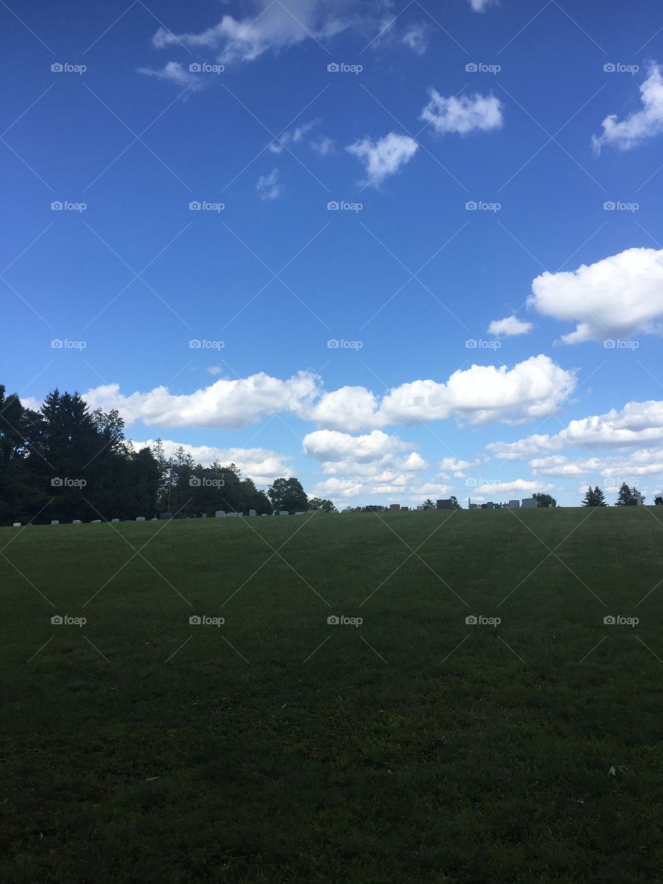 They can go for miles